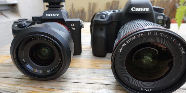 Canon und Sony Vollformater