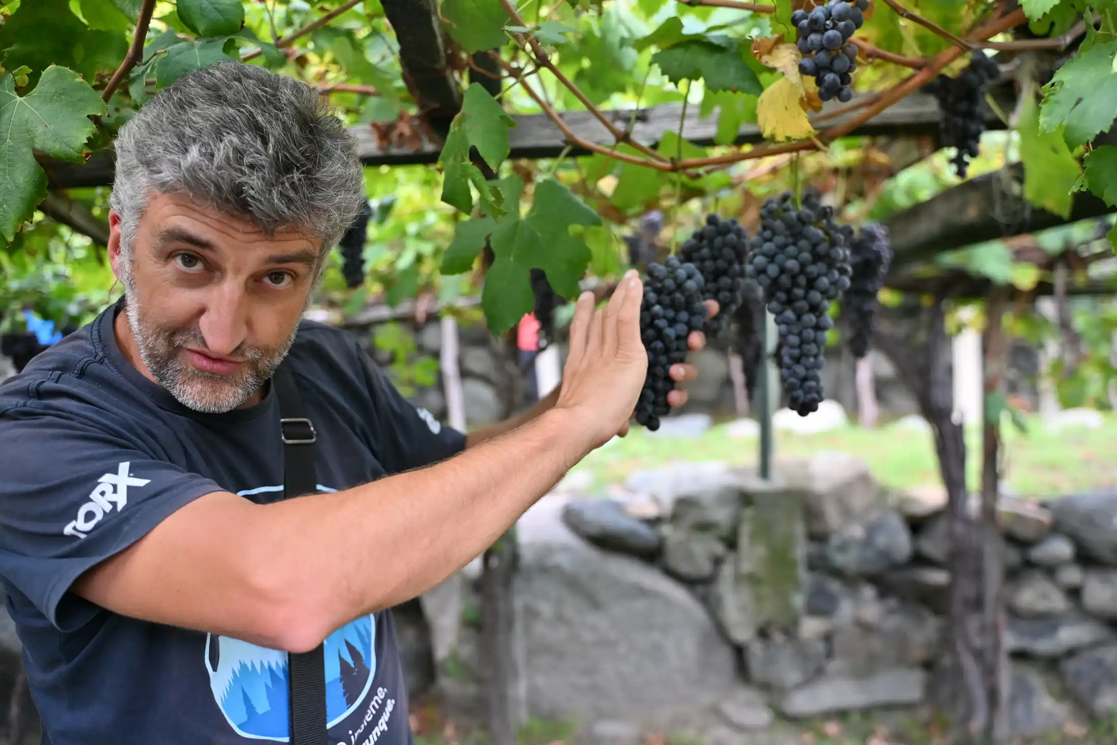 Donnas, Wein & Bürgermeister